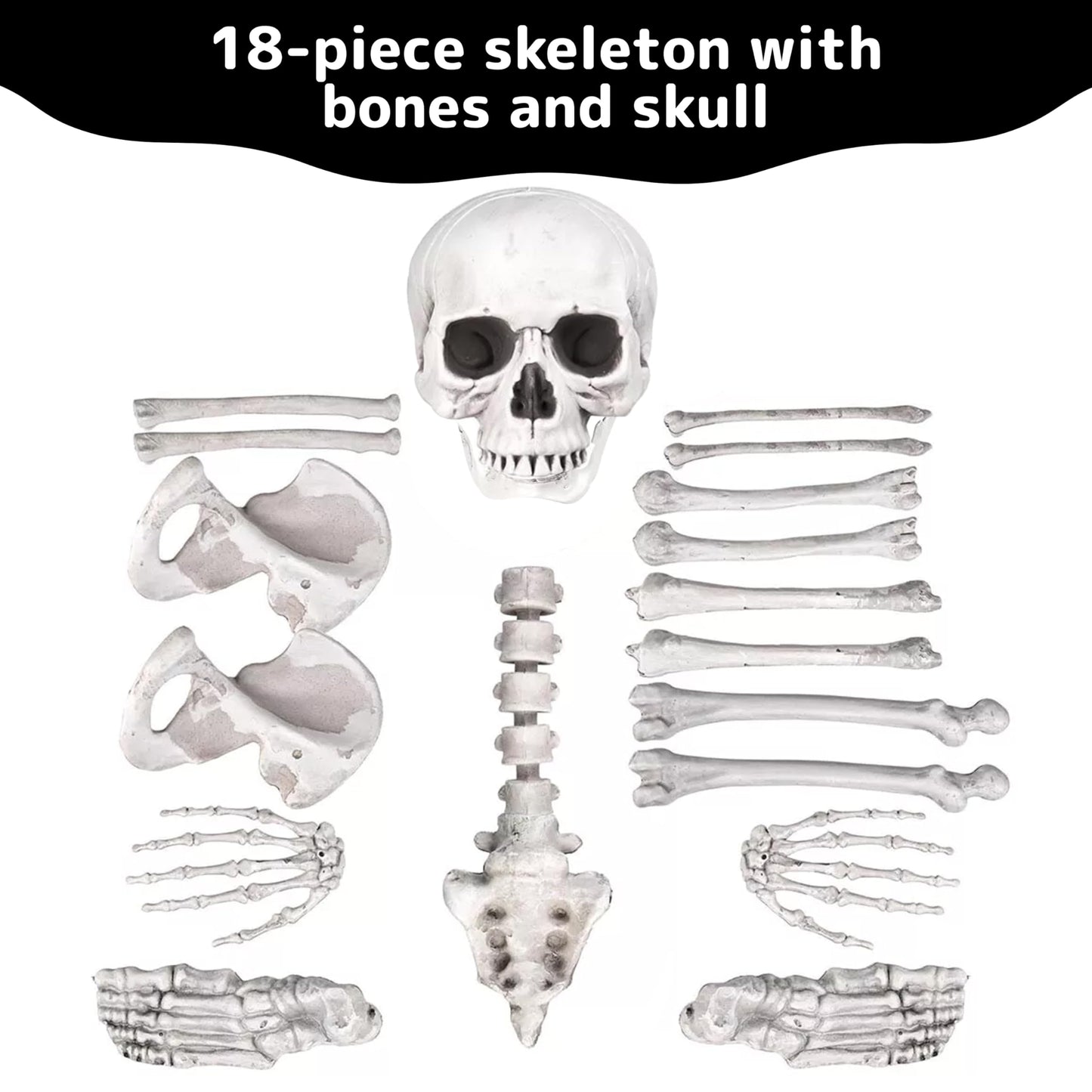 Prextex Halloween Skeleton Figure - Full Standing Body Skeleton with Movable/Posable Joints and Two Sets Of Body Accessories, Posable Decor for Halloween Decorations Outdoor Indoor - 48cm (19 Inch)