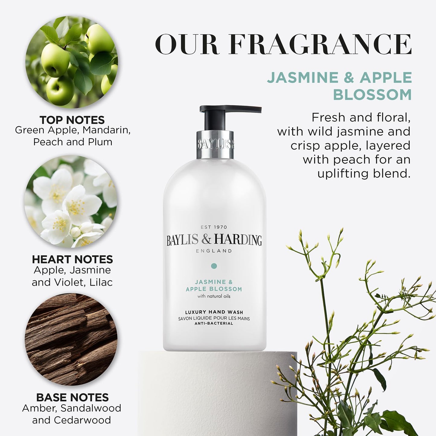 Baylis & Harding Jasmine and Apple Blossom Anti-Bacterial Hand Wash, 500 ml (Pack of 3) - Vegan Friendly