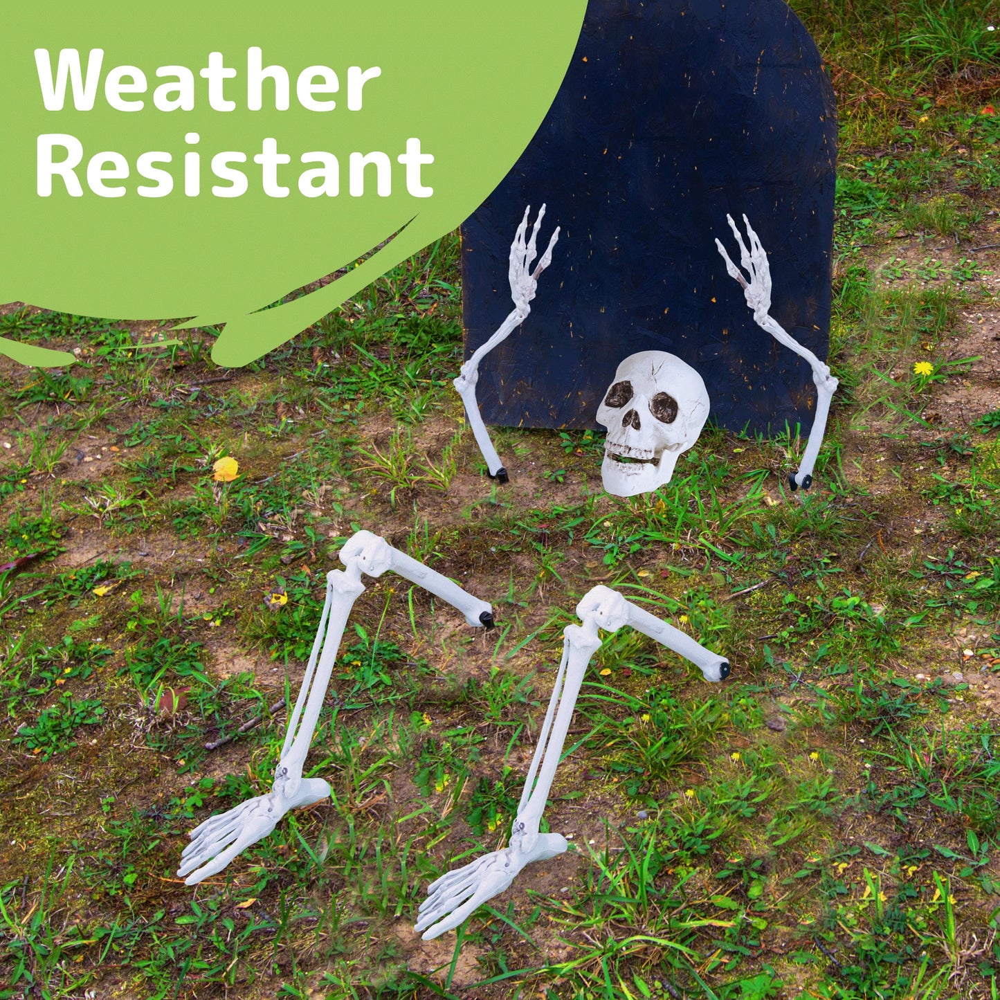 Prextex Halloween Skeleton Figure - Full Standing Body Skeleton with Movable/Posable Joints and Two Sets Of Body Accessories, Posable Decor for Halloween Decorations Outdoor Indoor - 48cm (19 Inch)