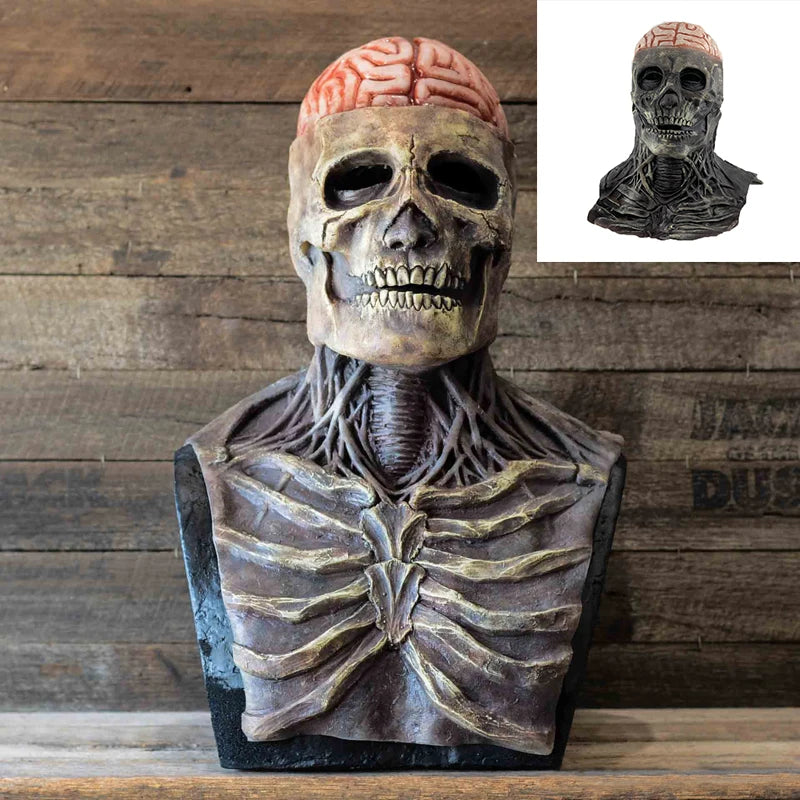 Skeletal bust with brain on head against a wooden background