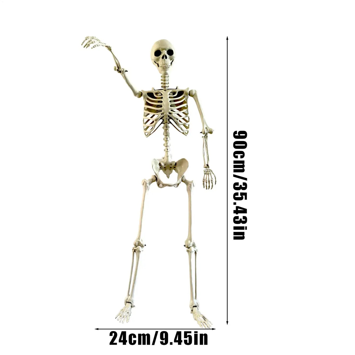 Realistic Posable Skeleton | Movable Joints & Weather-Resistant Outdoor