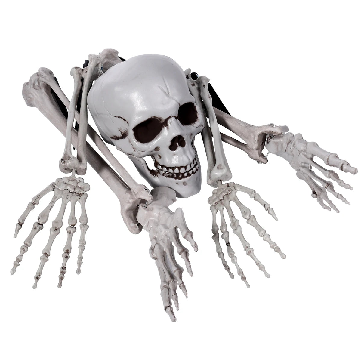 Skull Graveyard Decor | Realistic Horror Bones