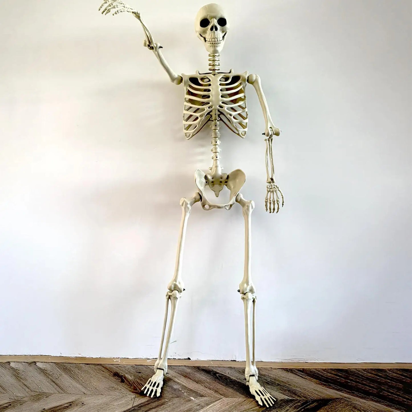 Realistic Posable Skeleton | Movable Joints & Weather-Resistant Outdoor
