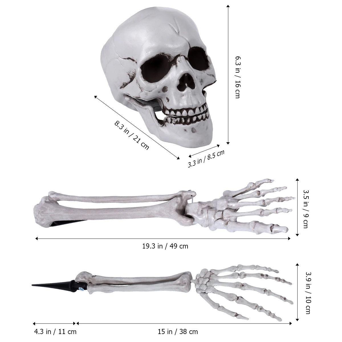 Skull Graveyard Decor | Realistic Horror Bones