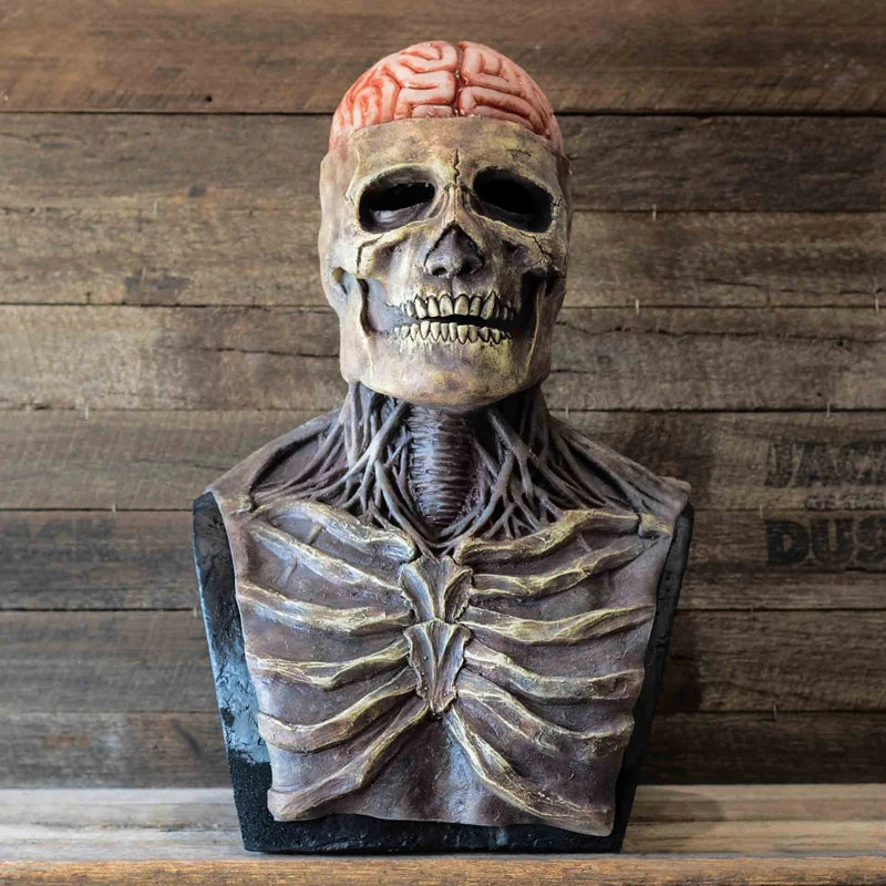 Bust of a skeleton with a brain on its head against a wooden background