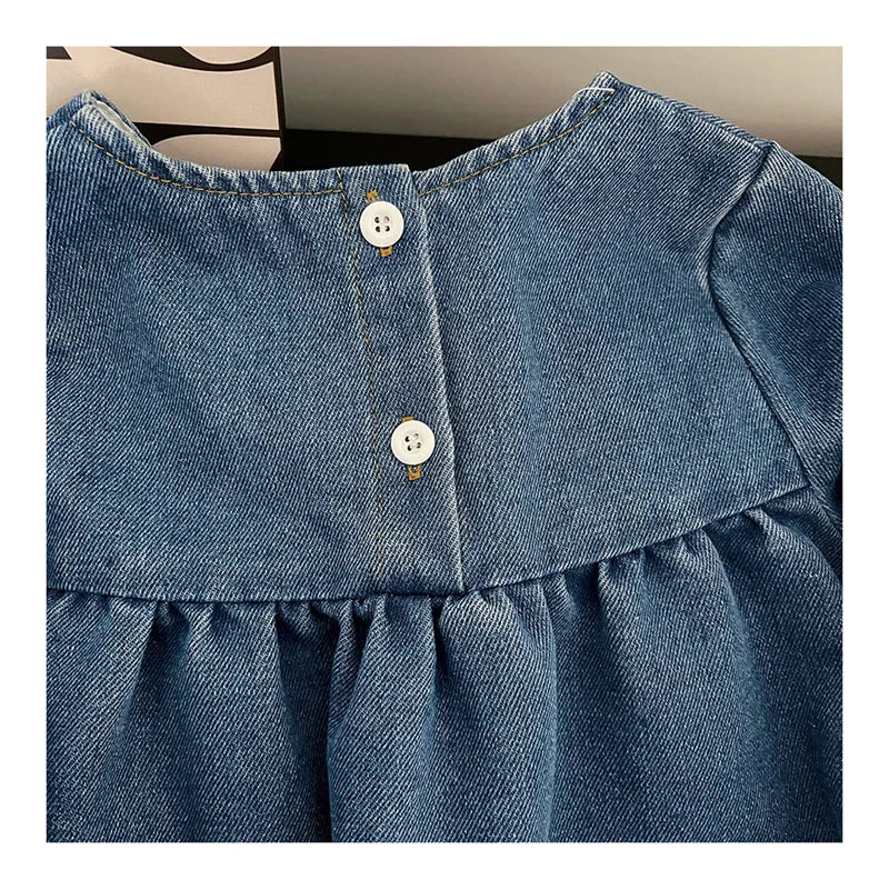 Girls’ Spring & Autumn Denim Dress | Floral Embroidered Long Sleeve