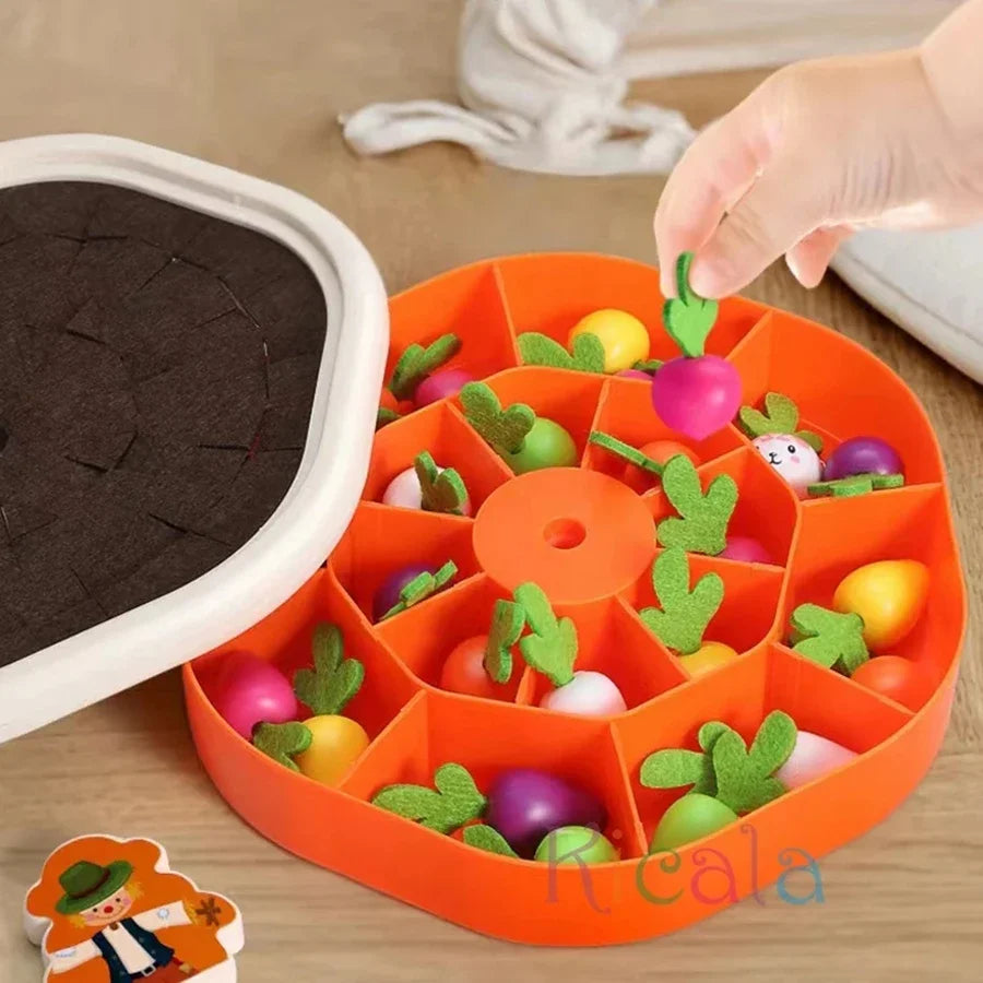 Baby Montessori Toys | Toddler Educational Colorful Shape