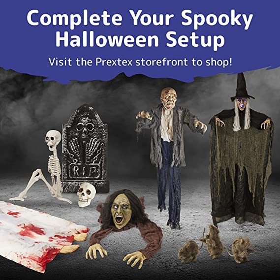 Prextex Halloween Skeleton Figure - Full Standing Body Skeleton with Movable/Posable Joints and Two Sets Of Body Accessories, Posable Decor for Halloween Decorations Outdoor Indoor - 48cm (19 Inch)