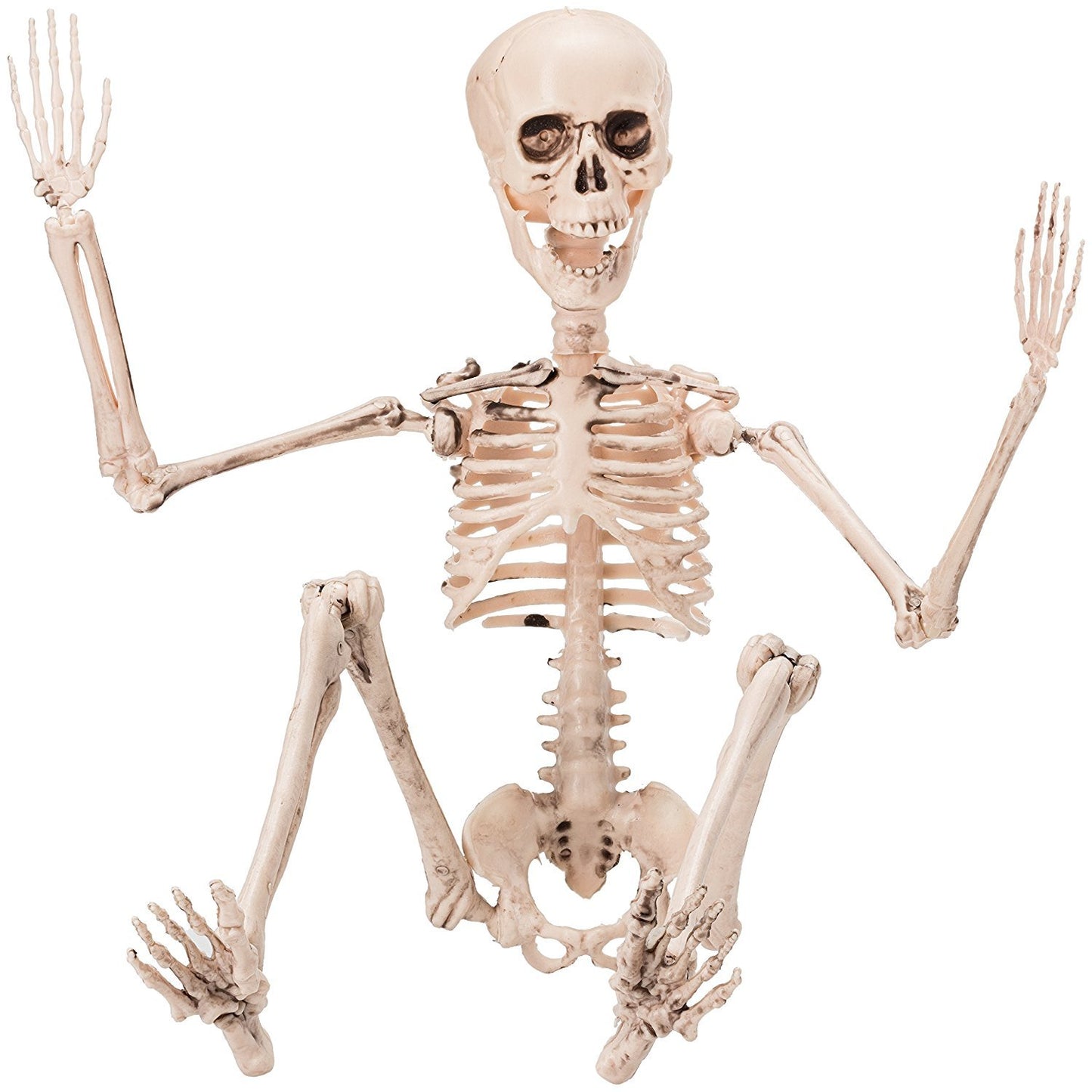 Prextex Halloween Skeleton Figure - Full Standing Body Skeleton with Movable/Posable Joints and Two Sets Of Body Accessories, Posable Decor for Halloween Decorations Outdoor Indoor - 48cm (19 Inch)