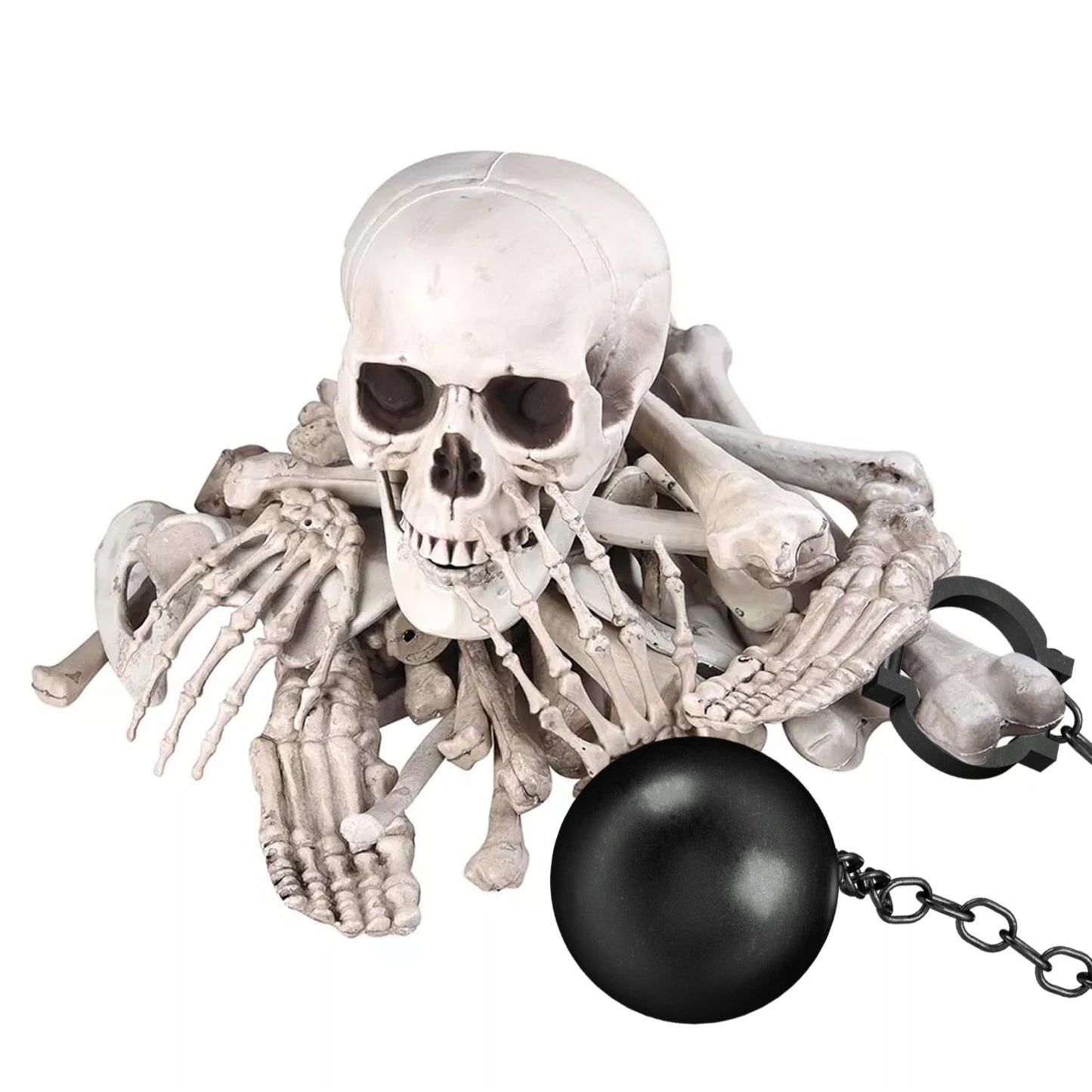 Prextex Halloween Skeleton Figure - Full Standing Body Skeleton with Movable/Posable Joints and Two Sets Of Body Accessories, Posable Decor for Halloween Decorations Outdoor Indoor - 48cm (19 Inch)
