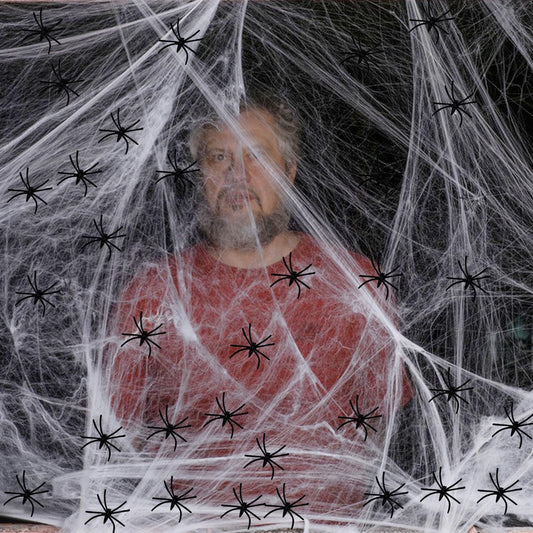 60g Halloween Spider Web Decorations with 30pcs Fake Spiders, Stretchable Cobwebs for Halloween Decorations
