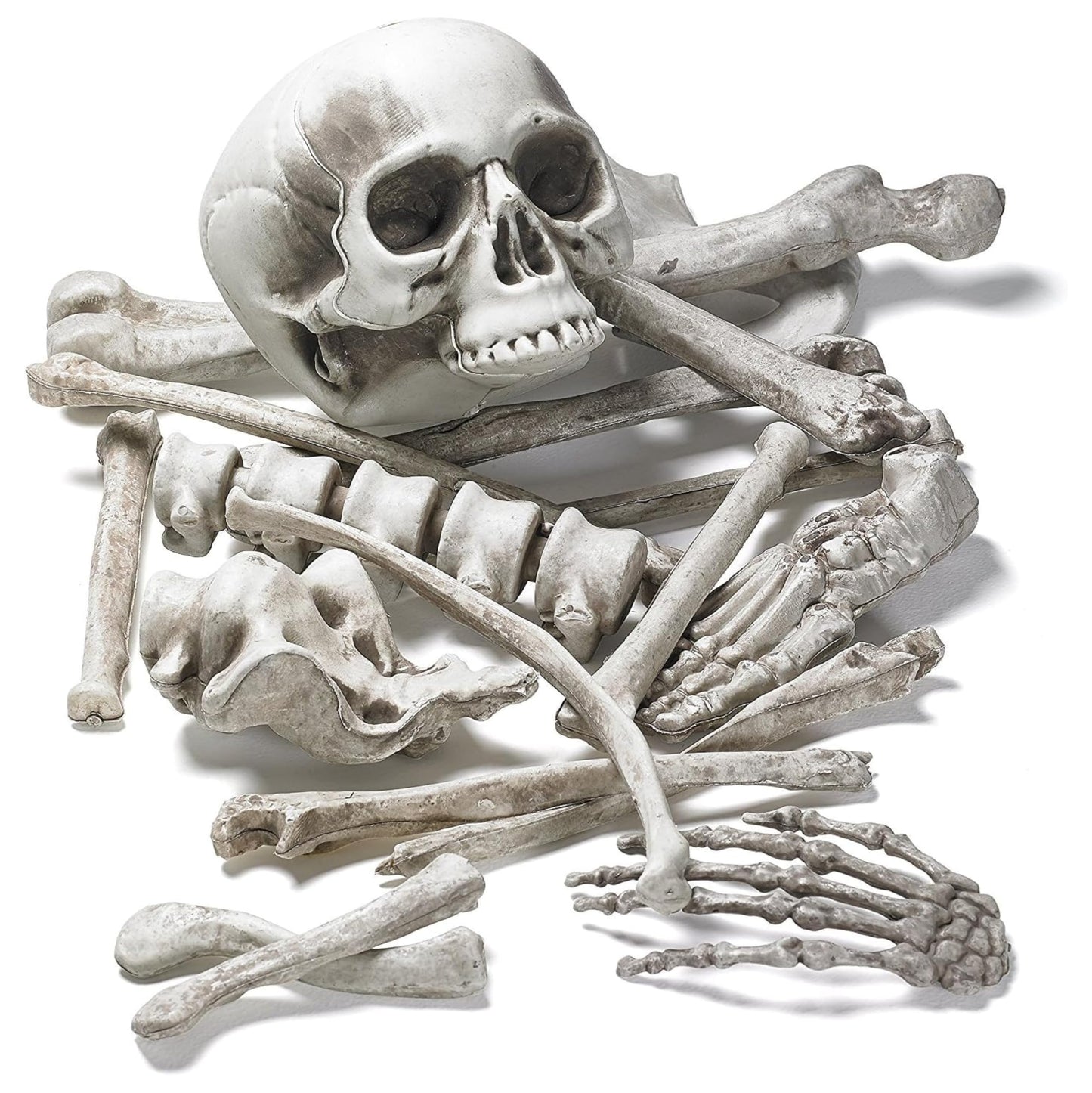 Prextex Halloween Skeleton Figure - Full Standing Body Skeleton with Movable/Posable Joints and Two Sets Of Body Accessories, Posable Decor for Halloween Decorations Outdoor Indoor - 48cm (19 Inch)
