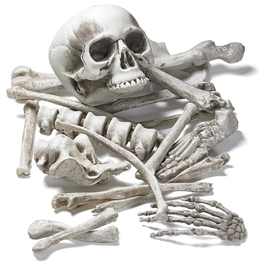 Prextex Halloween Skeleton Figure - Full Standing Body Skeleton with Movable/Posable Joints and Two Sets Of Body Accessories, Posable Decor for Halloween Decorations Outdoor Indoor - 48cm (19 Inch)