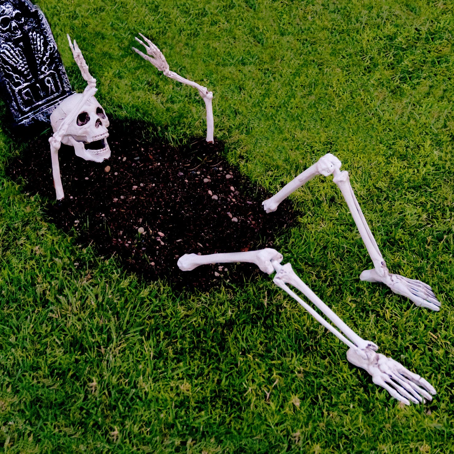 Prextex Halloween Skeleton Figure - Full Standing Body Skeleton with Movable/Posable Joints and Two Sets Of Body Accessories, Posable Decor for Halloween Decorations Outdoor Indoor - 48cm (19 Inch)