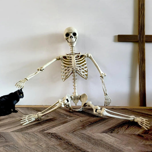Realistic Posable Skeleton | Movable Joints & Weather-Resistant Outdoor