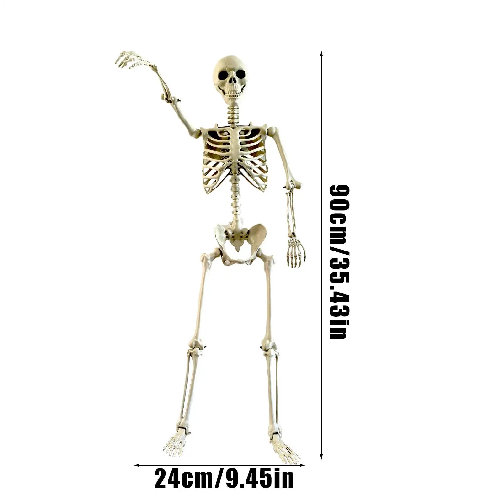 Realistic Posable Skeleton | Movable Joints & Weather-Resistant Outdoor