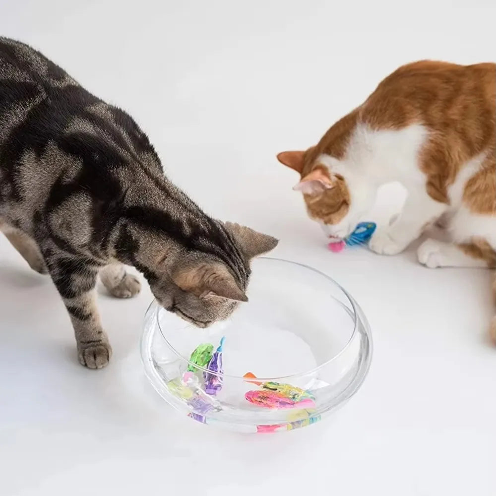 Two cats interacting with a clear bowl containing colorful toys on a white background